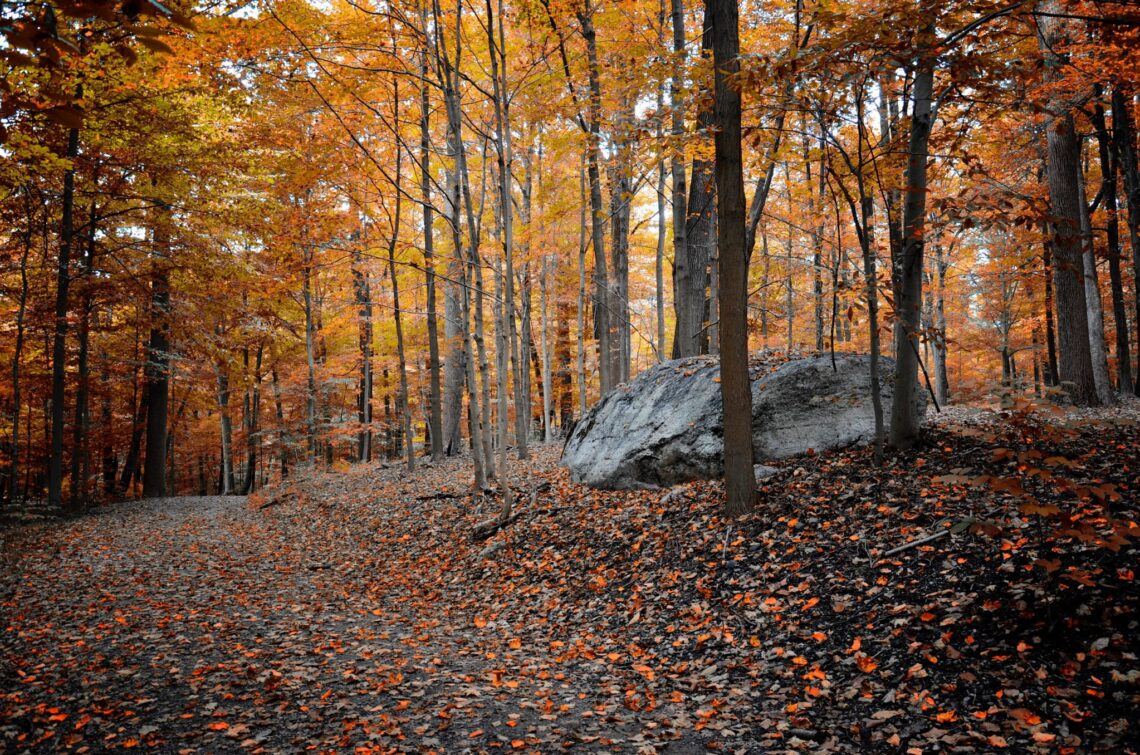 A photo of Spook Rock in Rockefeller State Park, Sleepy Hollow, New York.