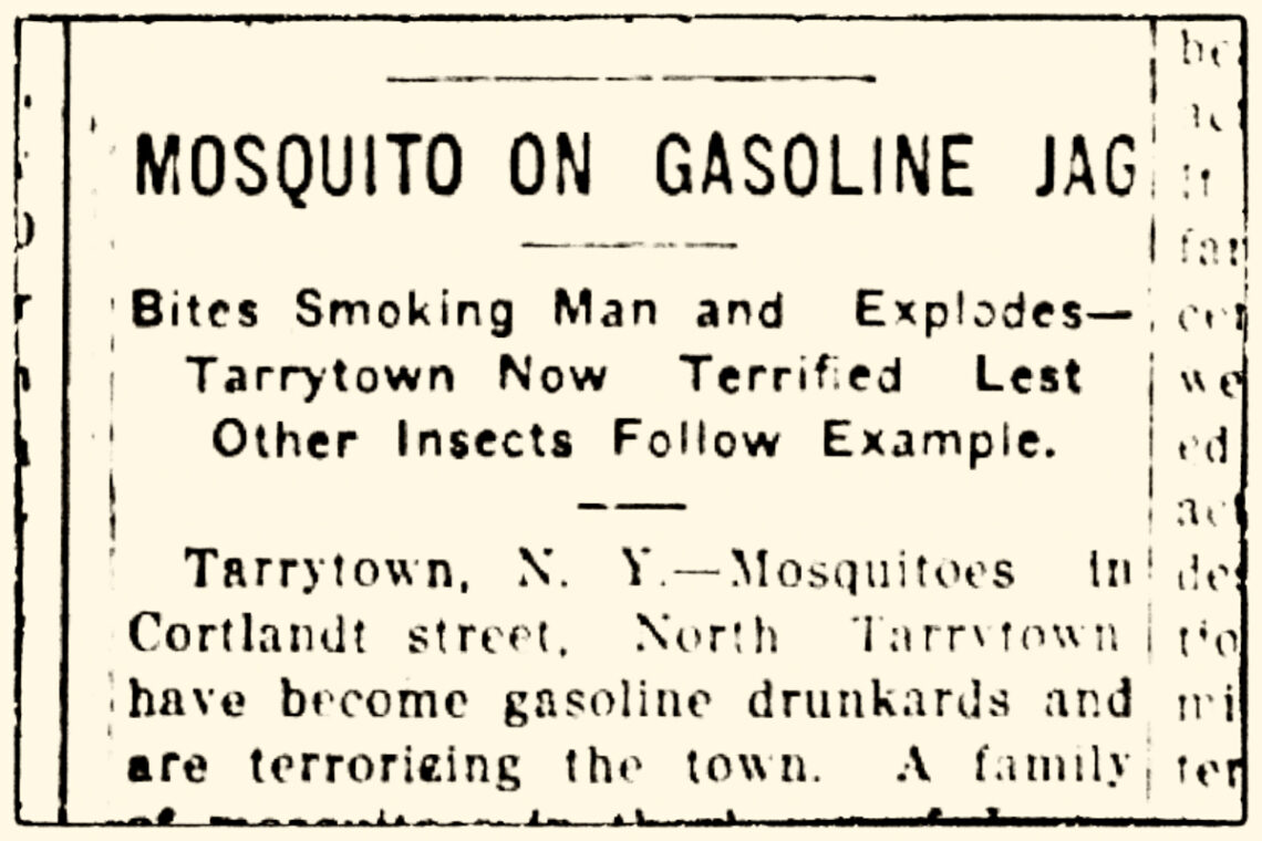 News clipping describing a plague of exploding mosquitoes in Tarrytown, NY.