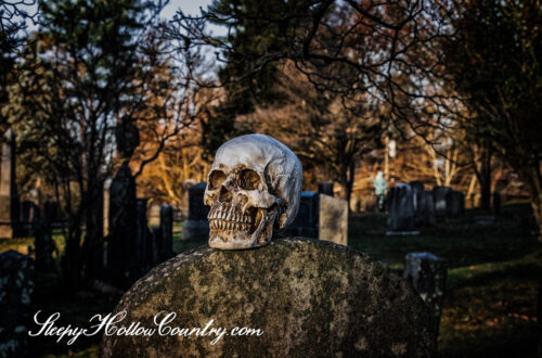 Ghoulish Jokester Robs a Grave in a cemetery, setting the skull atop a tombstone.