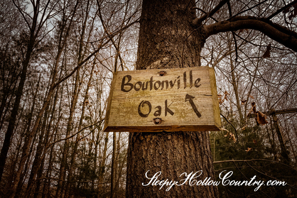 A sign points the way to the Boutonville Oak in Ward Pound Ridge Reservation.