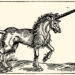 Unicorn, from Edward Topsell's "The Elizabethan zoo; a book of beasts both fabulous and authentic"